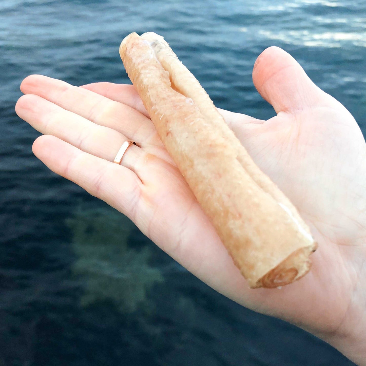 Chew Roll 20 cm