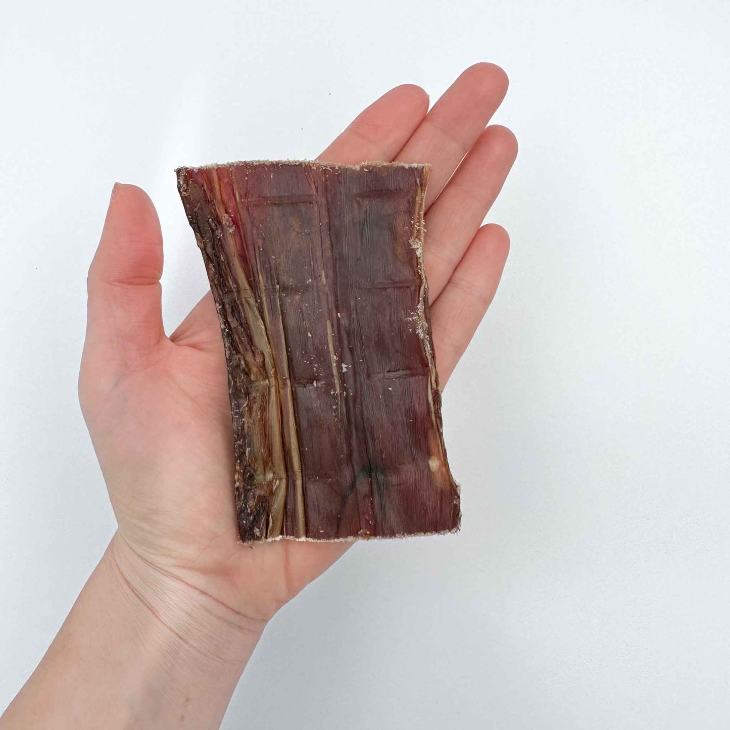 Beef Trachea 15 cm