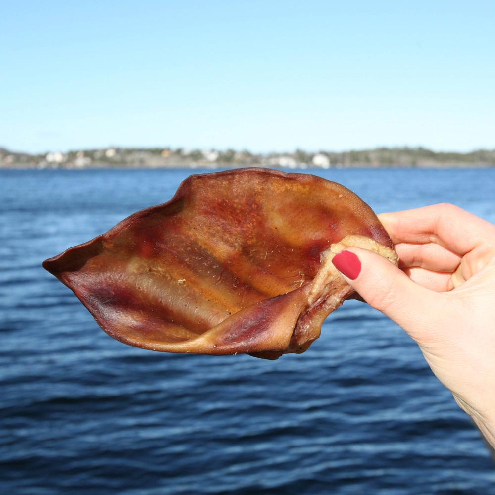 Pig Ear